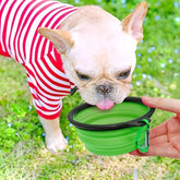 Collapsible Silicone Pet Travel Bowl with Clip
